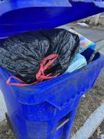 Recycling Violation