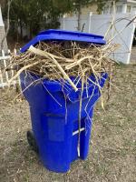 Recycling violation