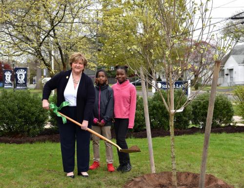 arbor day