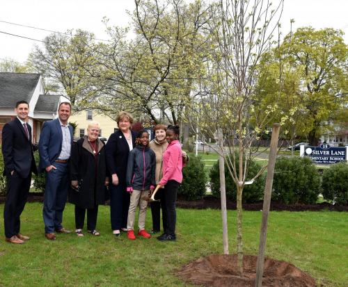 arbor day