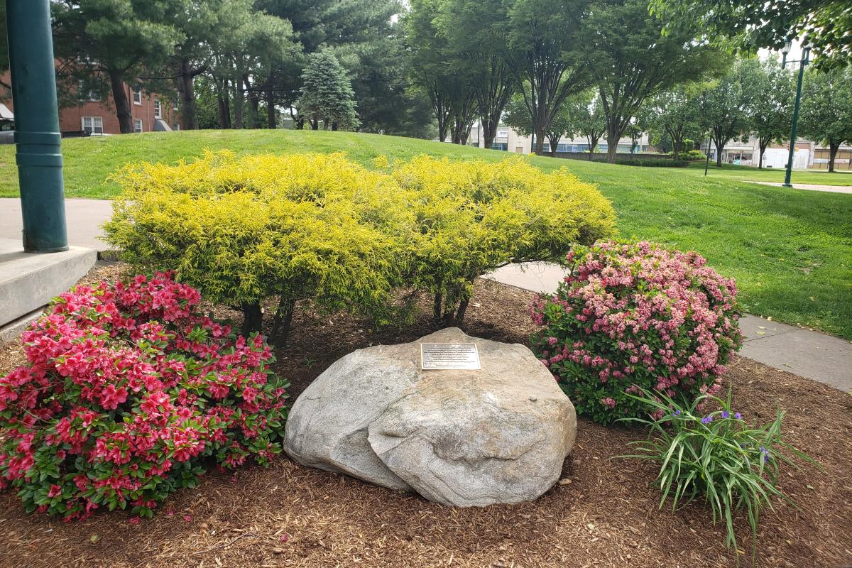 Alumni Park-Town Green