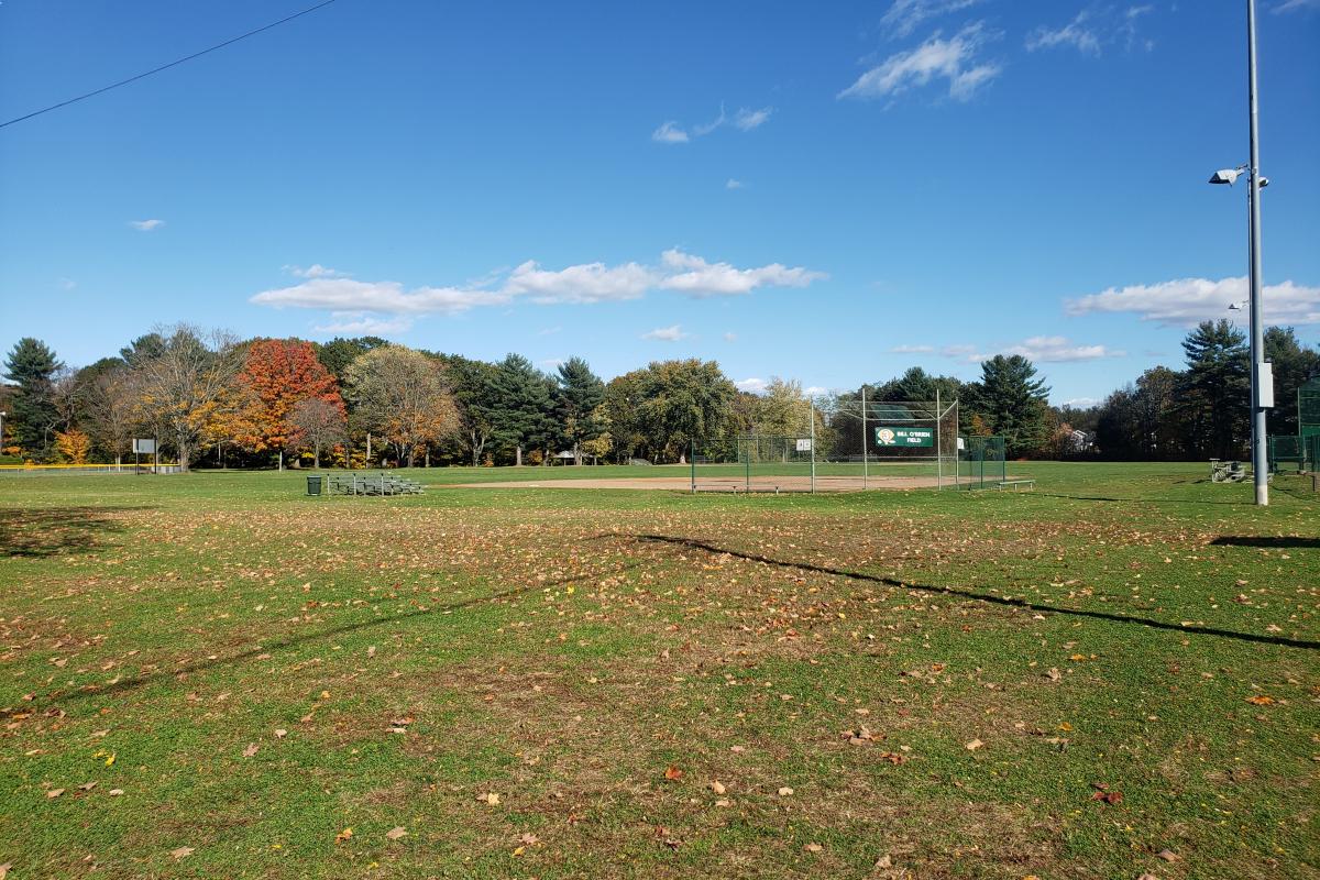 McAuliffe Park