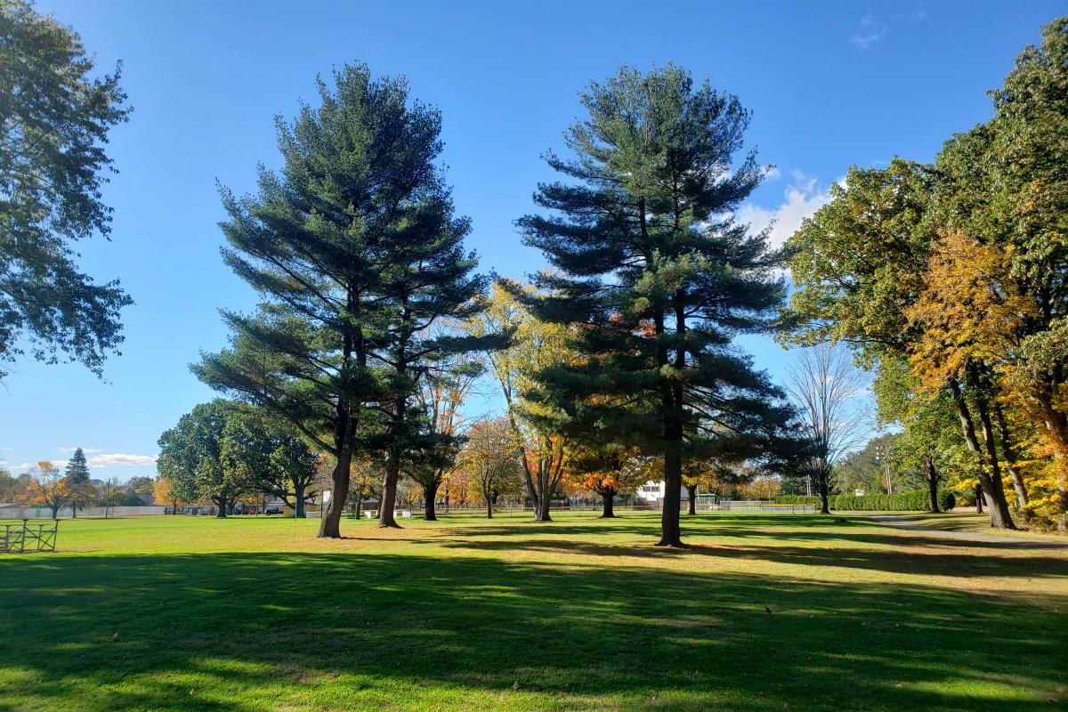 McAuliffe Park