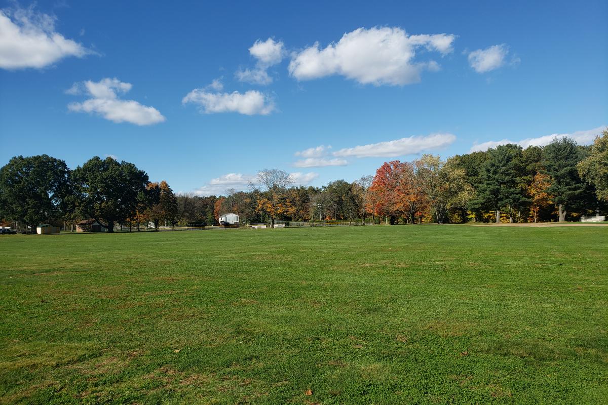 McAuliffe Park