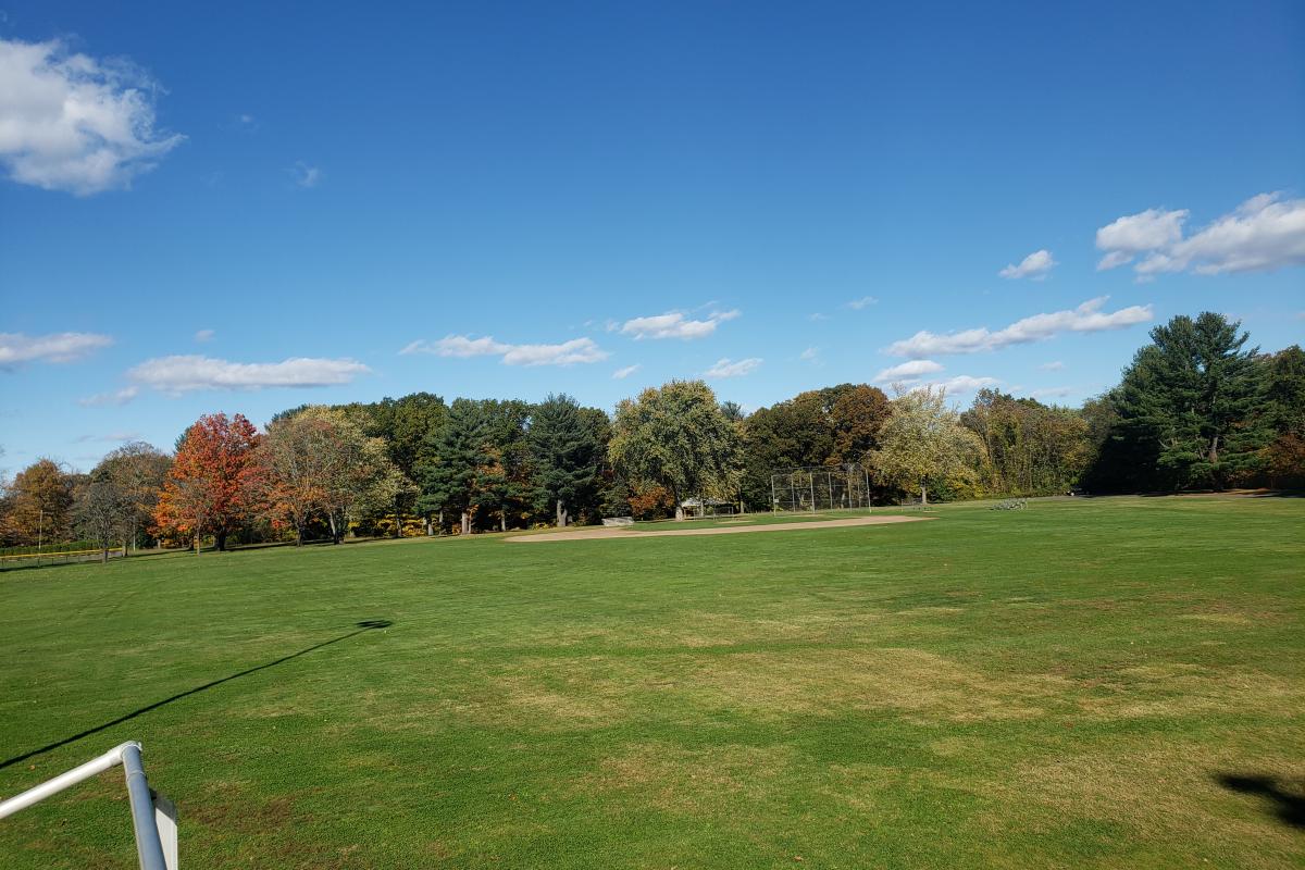 McAuliffe Park