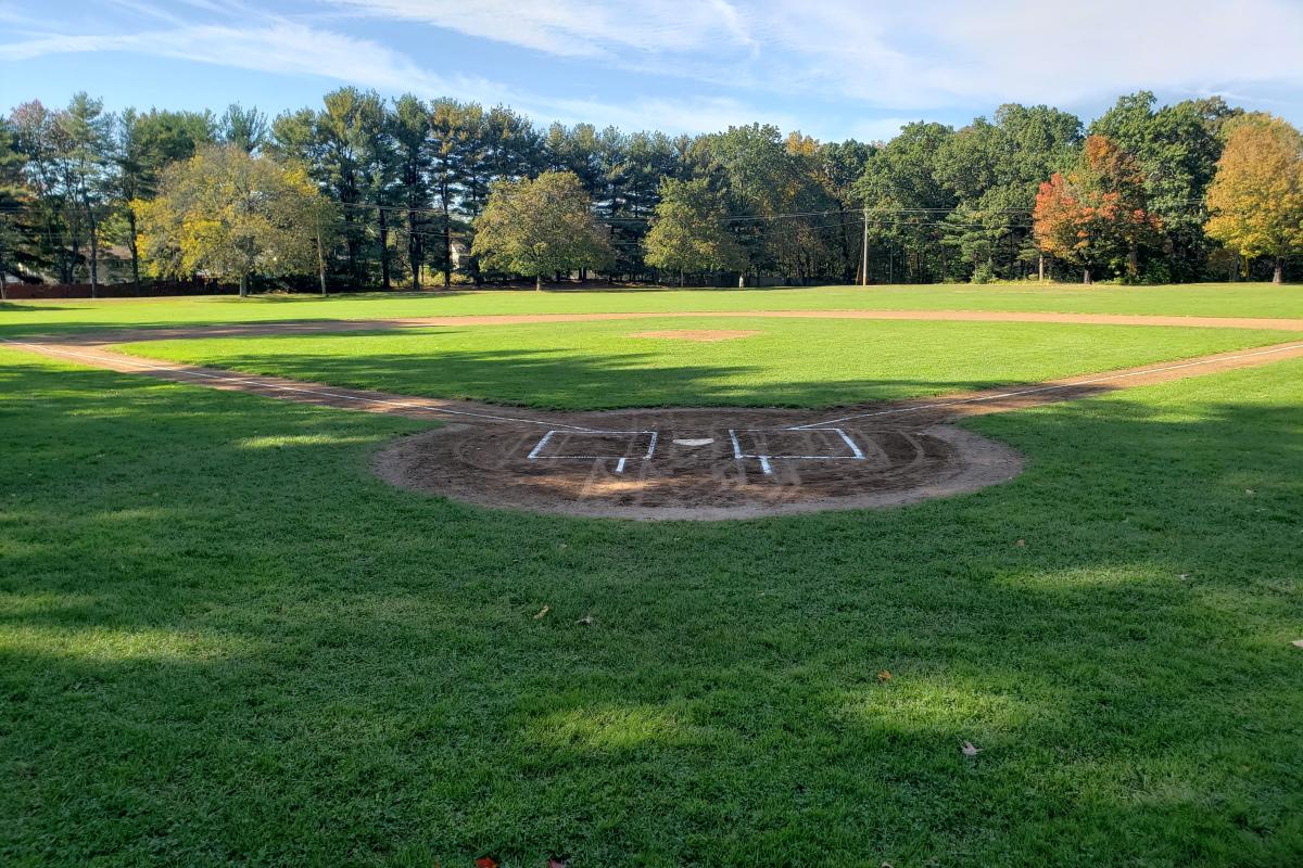Pony Field