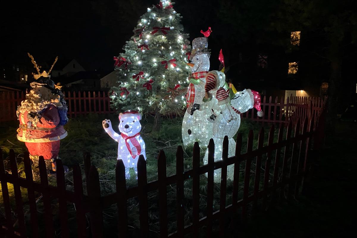 Tree Lighting