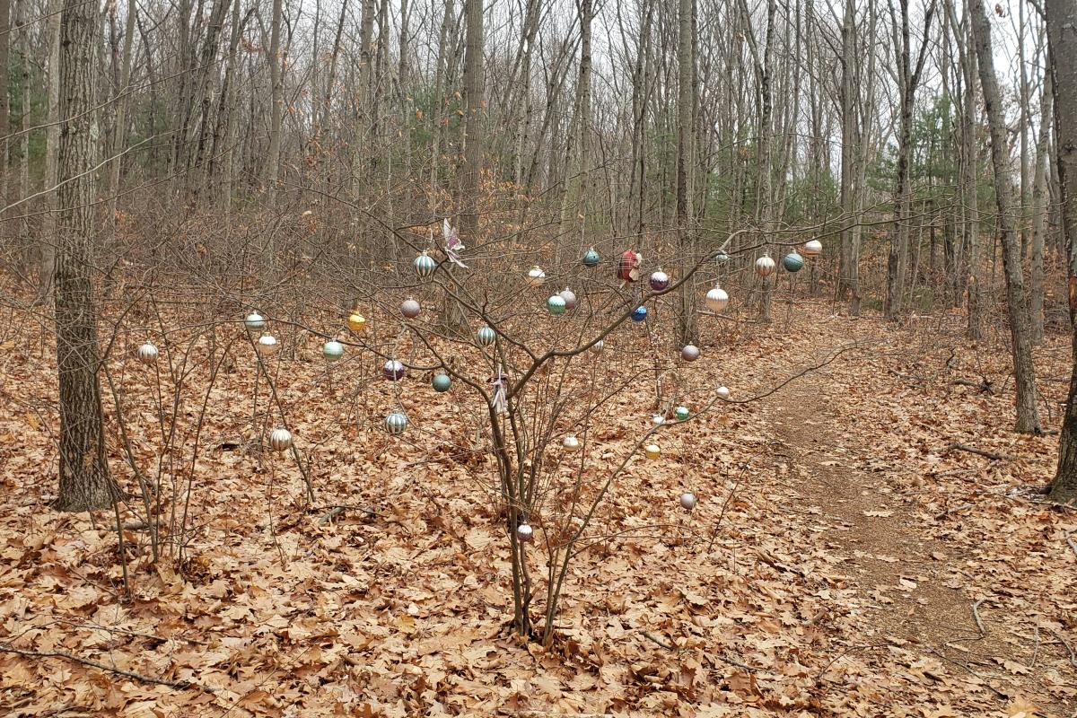 Hiking Trail