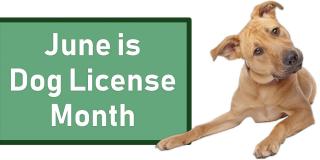 east hartford dog license month