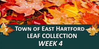 east hartford leaf collection week 4