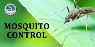 east hartford mosquito control
