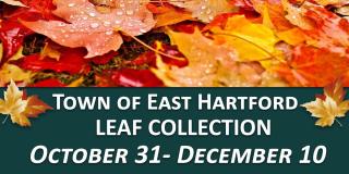 Leaf Collection Program 2022 to Begin October 31