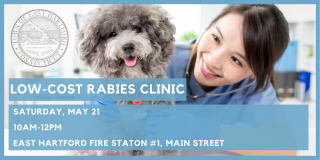 East Hartford To Offer a Low-Cost Rabies Clinic for Dogs and Cats