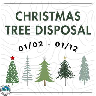Town of East Hartford Christmas Tree Disposal Guidelines