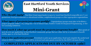 EHYS Mini-Grant Application. Click for more details.