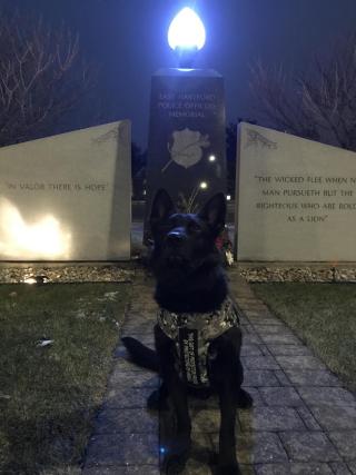 East Hartford Police Department’s K-9 Casus Has Received Body Armor
