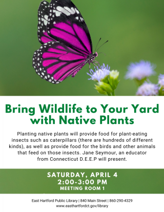 Bring Wildlife to your yard with native plants flyer