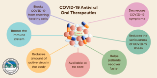 COVID-19 oral therapeutics