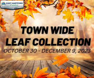 Leaf Collection Program 2023 to Begin October 30, 2023