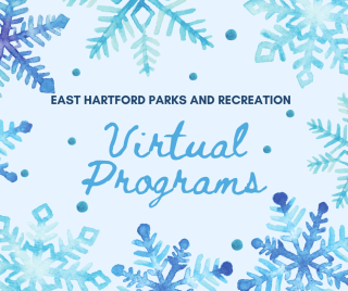 virtual programs image with snowflakes