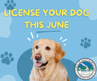 License Your Dog in June through the Town Clerk’s Office