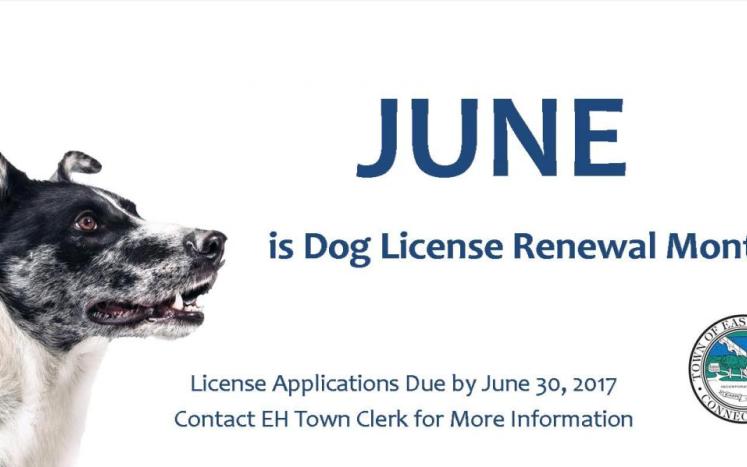 June is Dog License Renewal Month