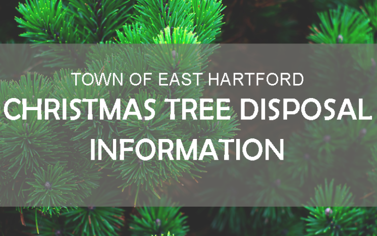 Christmas Tree Disposal Info