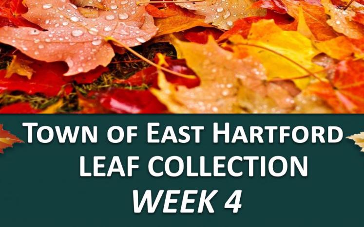 east hartford leaf collection week 4