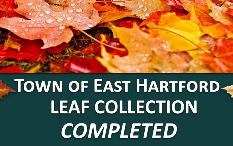 leaf collection completed