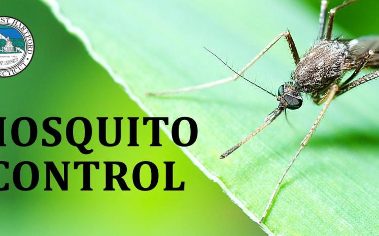 east hartford mosquito control