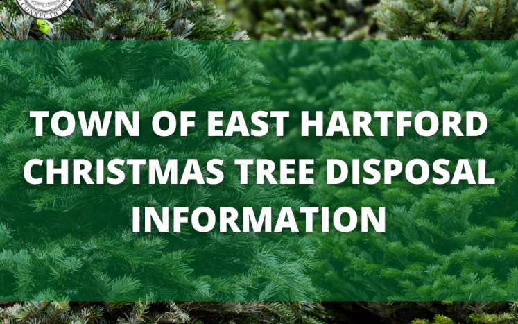 Town of East Hartford Christmas Tree Disposal Guidelines 