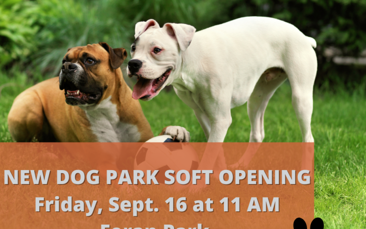 The Town of East Hartford Invites You to a Soft Opening of the new Dog Park