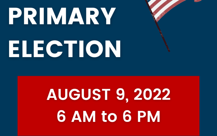 2022 Statewide Primary Election Information 