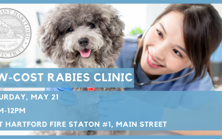 East Hartford To Offer a Low-Cost Rabies Clinic for Dogs and Cats