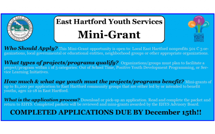 youth services mini-grant