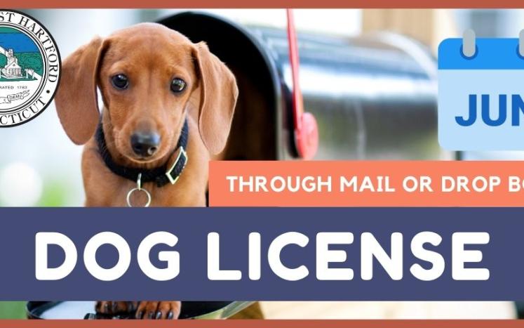 June is dog license month