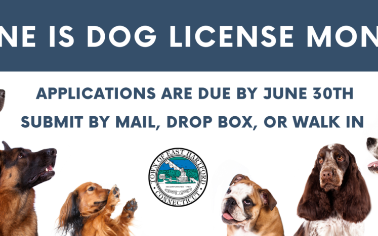June is Dog Licensing Month