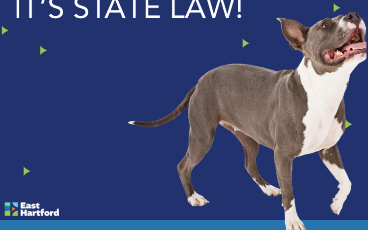 License Your Dog in June!