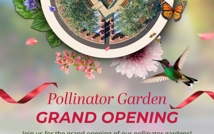 INTERNATIONAL WELOVEU FOUNDATION AND THE TOWN OF EAST HARTFORD CELEBRATE GRAND OPENING OF POLLINATOR GARDEN PROJECT AT DEPIETRO 