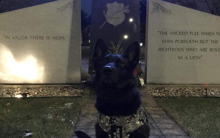 East Hartford Police Department’s K-9 Casus Has Received Body Armor