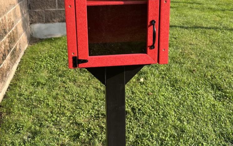 Little Free Library at Raymond Library image