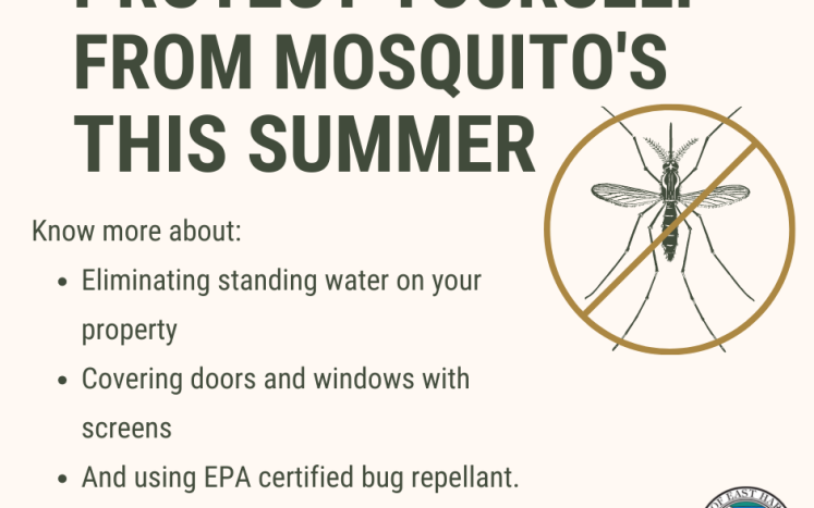 Mosquito Control Measures