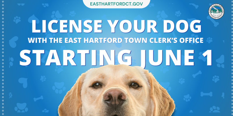 License your dog in June with the East Hartford Town Clerk's Office